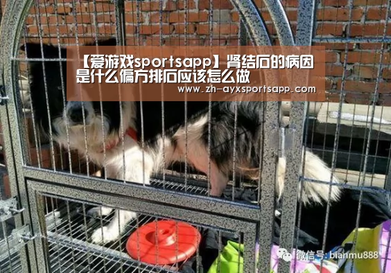 【爱游戏sportsapp】肾结石的病因是什么偏方排石应该怎么做
