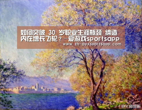 爱游戏sportsapp
