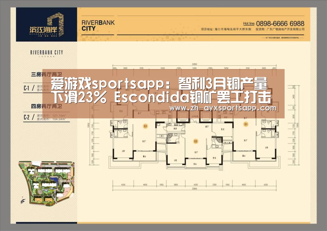 爱游戏sportsapp:智利3月铜产量下滑23% Escondida铜矿罢工打击沉重(图3) 爱游戏sportsapp