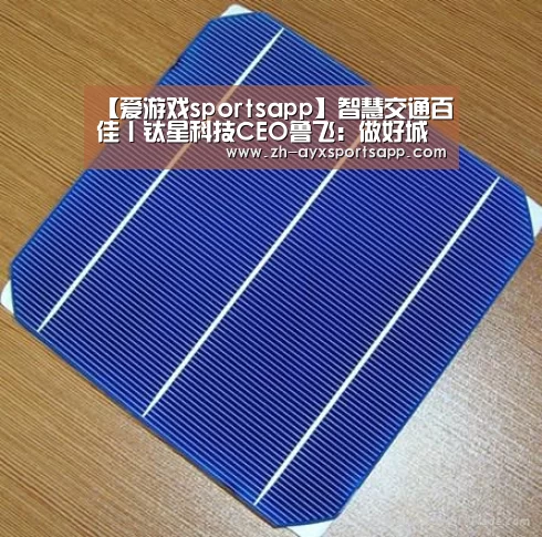 【爱游戏sportsapp】智慧交通百佳丨钛星科技CEO鲁飞:做好城市级调度,推动行业向前一步(图4) 爱游戏sportsapp