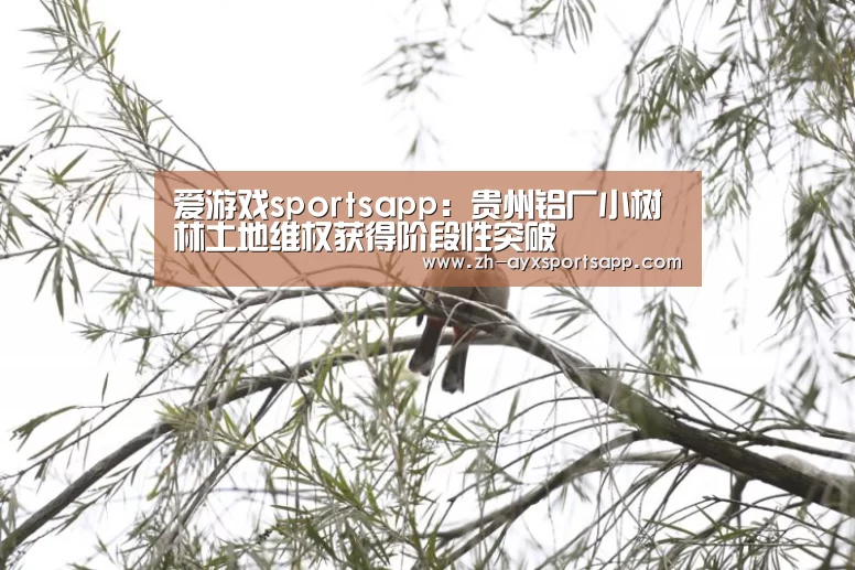 爱游戏sportsapp:贵州铝厂小树林土地维权获得阶段性突破(图2) 爱游戏sportsapp