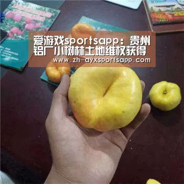 爱游戏sportsapp:贵州铝厂小树林土地维权获得阶段性突破(图1) 爱游戏sportsapp