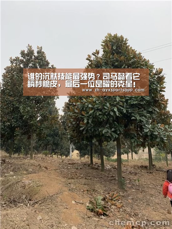 谁的沉默技能最强势?司马懿看它瞬秒脆皮,最后一位是曜的克星!【爱游戏sportsapp】(图2) 爱游戏sportsapp