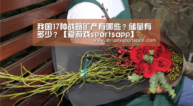 我国17种战略矿产有哪些?储量有多少?【爱游戏sportsapp】(图2) 爱游戏sportsapp