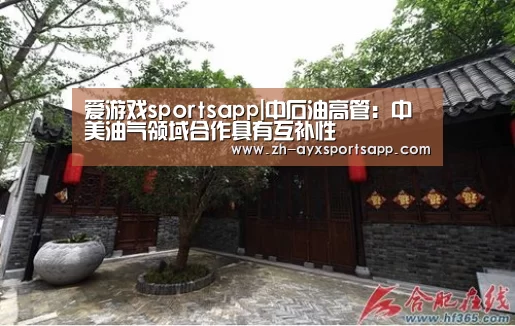 爱游戏sportsapp|中石油高管:中美油气领域合作具有互补性(图4) 爱游戏sportsapp
