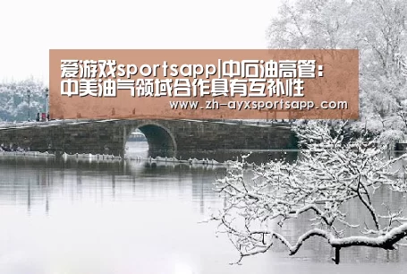 爱游戏sportsapp|中石油高管:中美油气领域合作具有互补性(图3) 爱游戏sportsapp