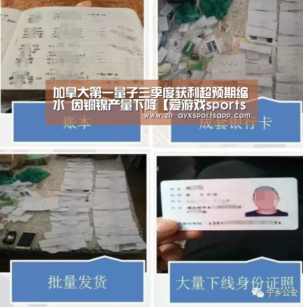 加拿大第一量子三季度获利超预期缩水 因铜镍产量下降【爱游戏sportsapp】(图1) 爱游戏sportsapp