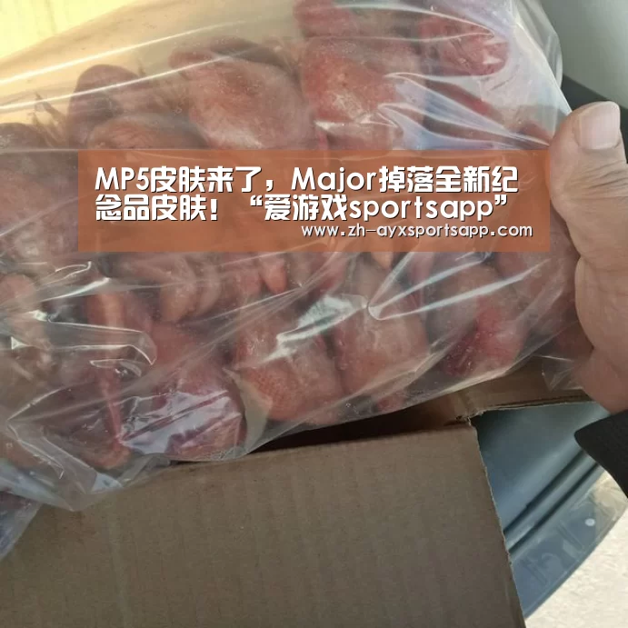 爱游戏sportsapp