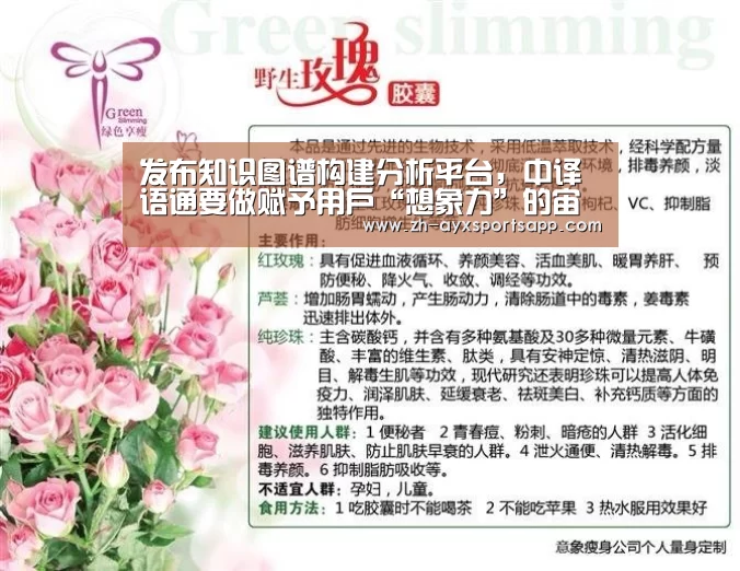 发布知识图谱构建分析平台,中译语通要做赋予用户“想象力”的宙斯|爱游戏sportsapp(图1) 爱游戏sportsapp