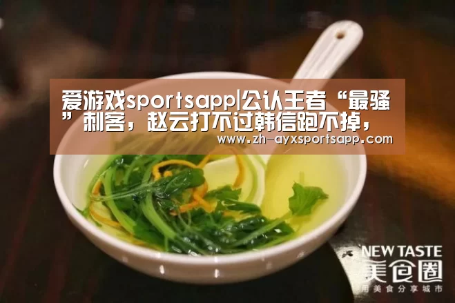 爱游戏sportsapp|公认王者“最骚”刺客,赵云打不过韩信跑不掉,李白被反秀,高端局却无人用(图1) 爱游戏sportsapp