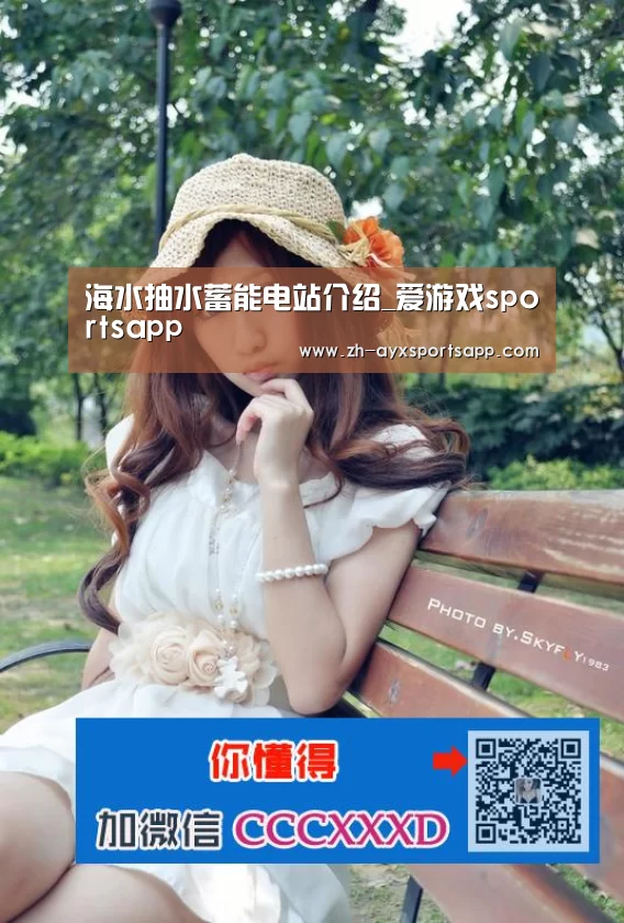 海水抽水蓄能电站介绍_爱游戏sportsapp(图3) 爱游戏sportsapp