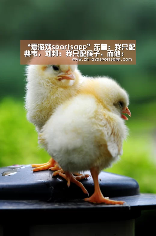 “爱游戏sportsapp”东皇:我只配典韦,刘邦:我只配猴子,而他:我配谁都是无解组合!(图1) 爱游戏sportsapp