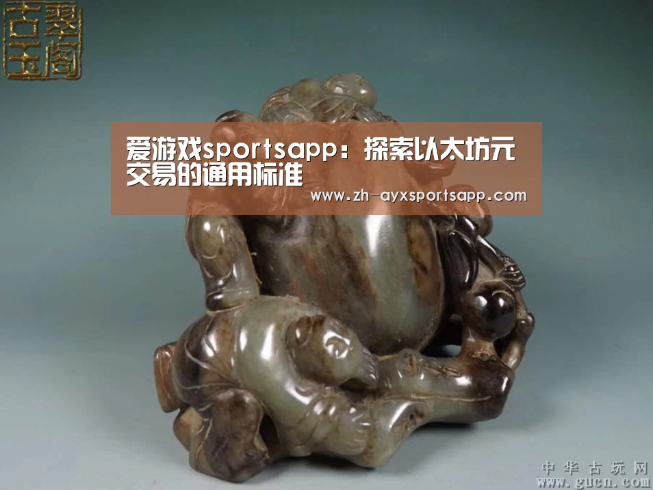 爱游戏sportsapp:探索以太坊元交易的通用标准(图2) 爱游戏sportsapp