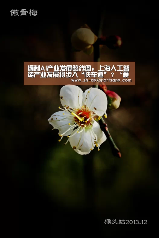 编制AI产业发展路线图,上海人工智能产业发展将步入“快车道”?‘爱游戏sportsapp’(图4) 爱游戏sportsapp