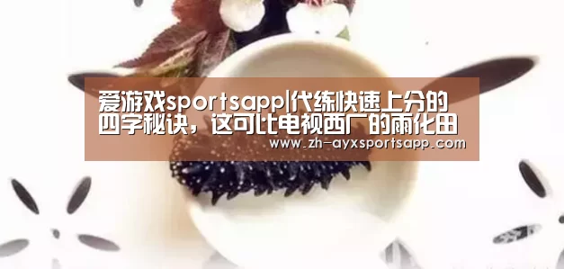 爱游戏sportsapp